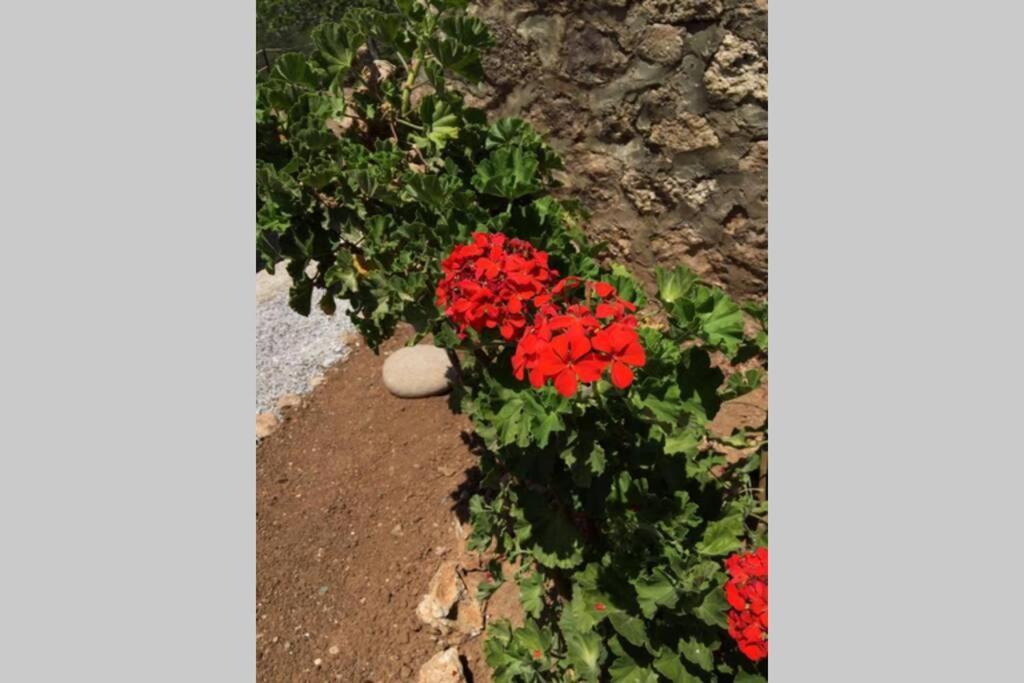 Gerani Maison Agios Aimilianos Beautiful View Porto Heli Exteriör bild